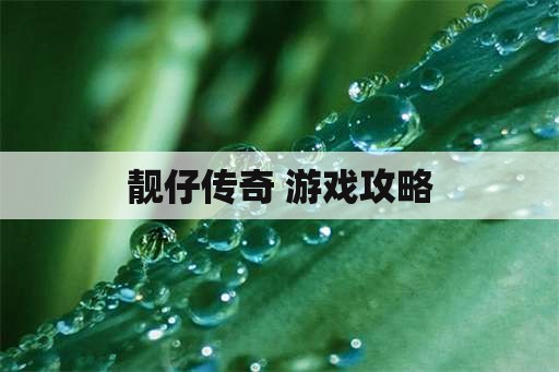 靓仔传奇 游戏攻略